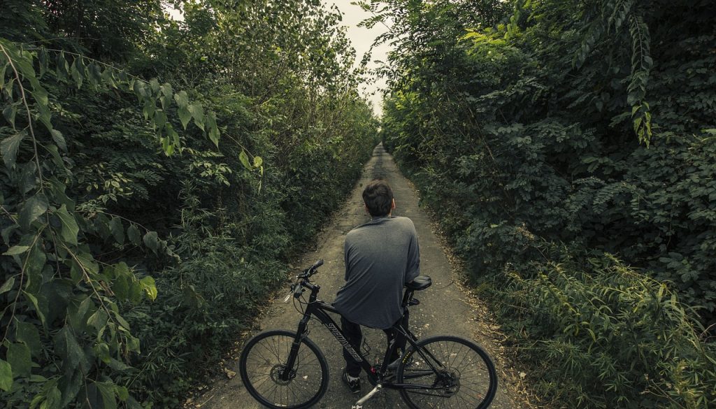 bicycle long road path nature 1287232